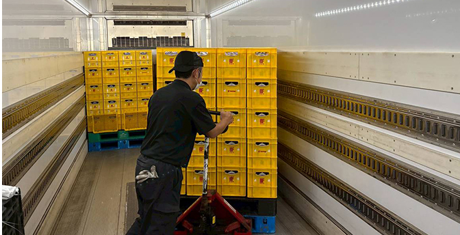 トラックスライド10